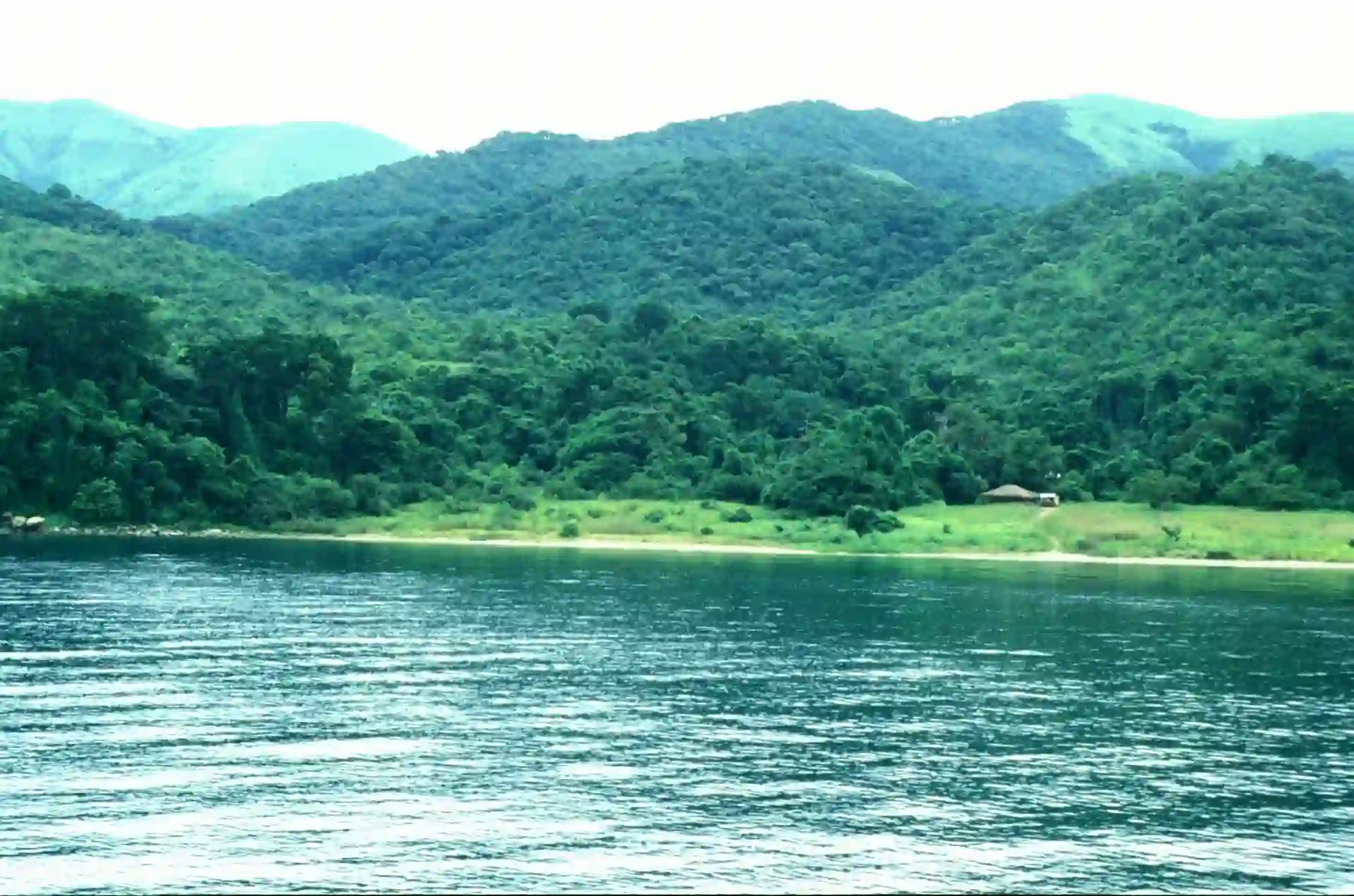 Lake Tanganyika shoreline next to Gombe Stream National Park forest