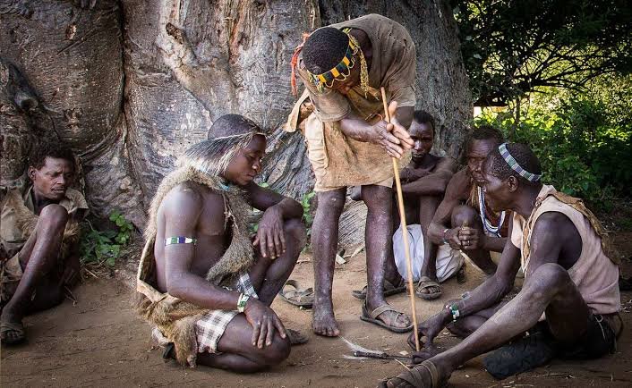 Hadzabe bushmen holding hand-carved bows and arrows walking through dry acacia scrubland