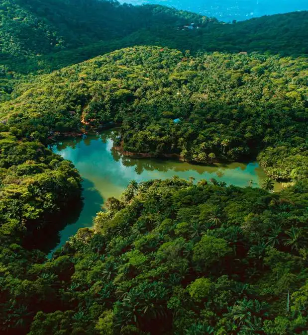Scenic boat cruising past hippopotamuses in a remote river system