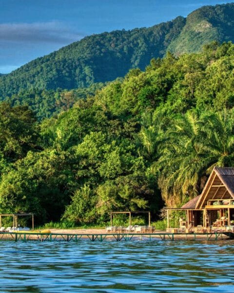 Beautiful soft-sand beach safari camp set against the turquoise waters of Lake Tanganyika in Mahale