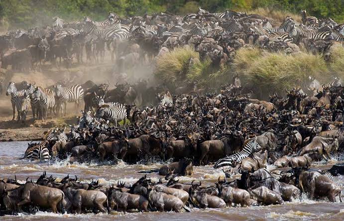 Private safari land cruiser driving along tracks through the tanzanian wilderness