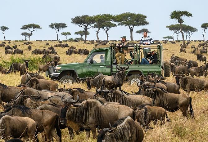Flawless big game tracking across the Grumeti valleys inside Western Serengeti