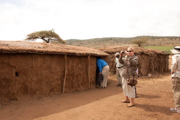 Maasai elder harvesting barks and wild leaves from a savanna acacia shrub during an herbal medicine trek
