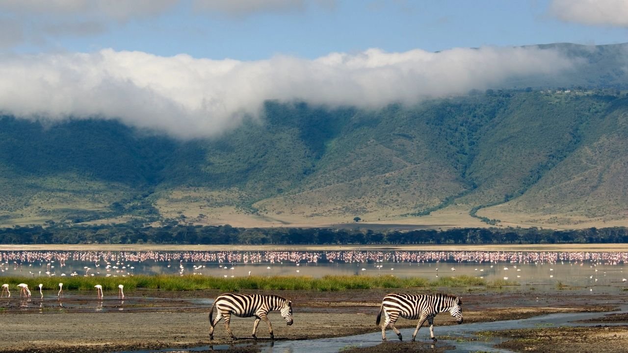 Ngorongoro Crater Floor Safari Game Tracking