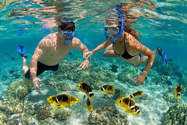 Snorkeler diving down into deep blue clear ocean water alongside schools of reef fish over vibrant coral