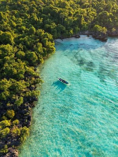 Tourists taking a scenic small boat tour through dense tropical green mangrove forests on the Pangani River
