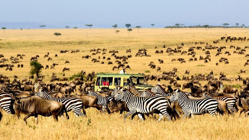 Safari vehicle entering the vast plains of the Serengeti