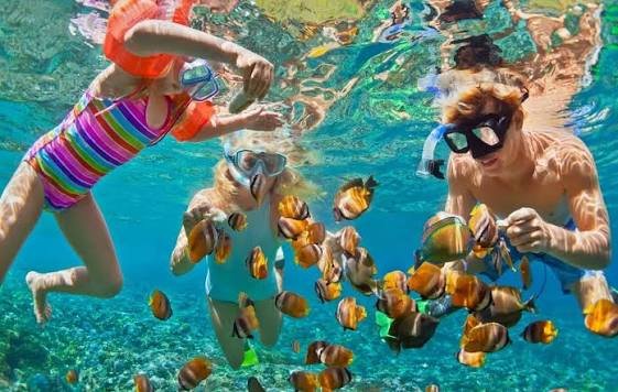 Snorklers exploring vibrant tropical coral reefs and schools of colorful fish in Chole Bay Marine Park