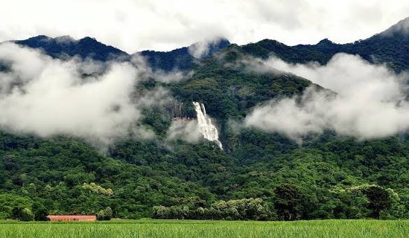 Beautiful vertical Sanje Waterfalls plunging 170 meters into a natural forest pool in Udzungwa
