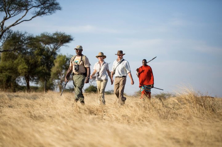 Family of black rhinos and lions walking on the floor of the Ngorongoro crater