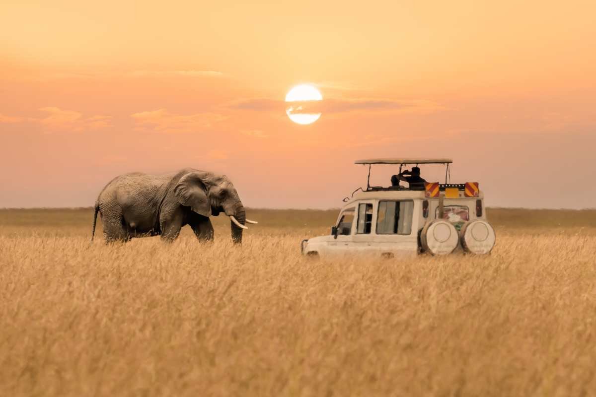Luxury private 4x4 safari cruiser embarking on an afternoon game drive inside Serengeti