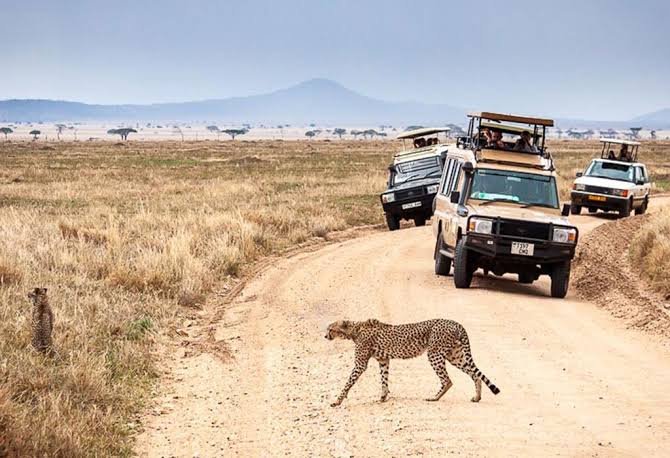 Scenic view of safari land cruiser driving down into Ngorongoro Crater floor