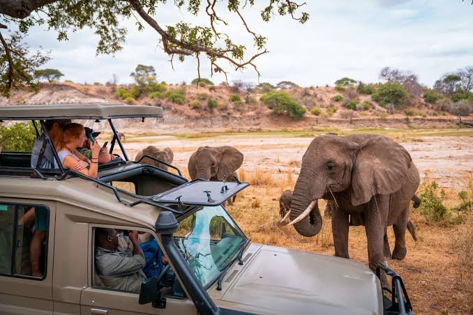 Scenic morning over the Serengeti plains entry lines