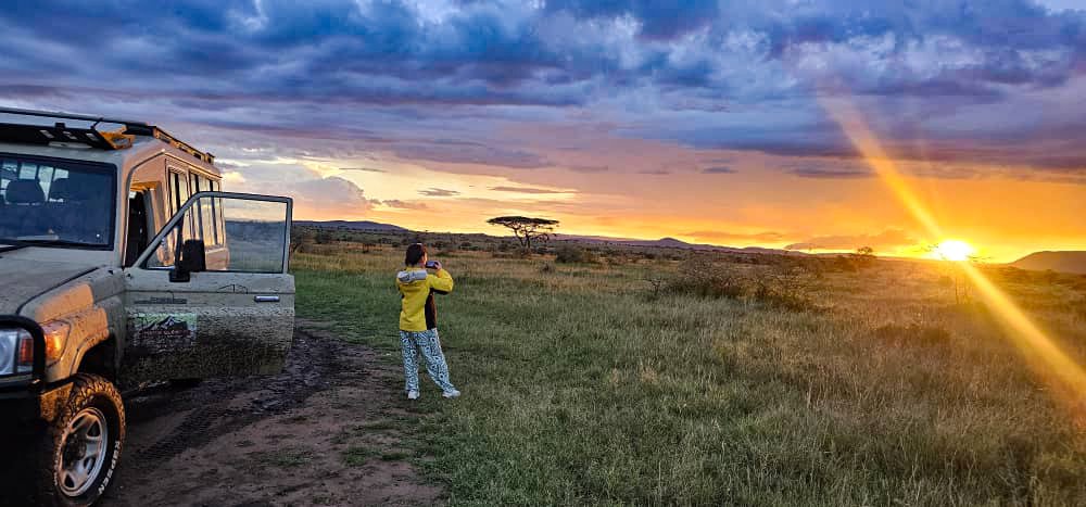 A beautiful giraffe standing on the golden savannah plains of Mikumi National Park